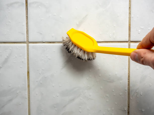 Best Black Mold Removal  in Troy, MO