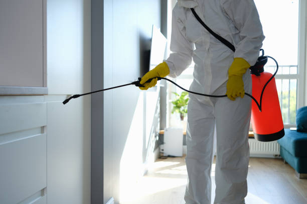 Troy, MO Mold Removal Company