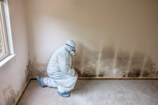 Best Crawl Space Mold Removal  in Troy, MO